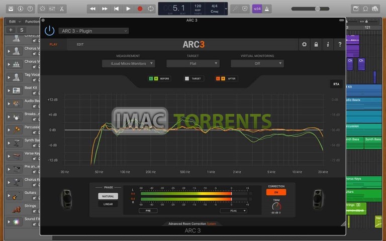 IK Multimedia ARC System 3.0.2b Full macOS