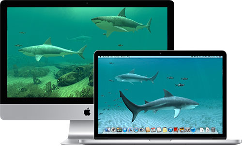 Sharks 3D 2.0.5 Full macOS