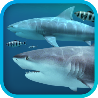 Sharks 3D 2.0.5 Full macOS