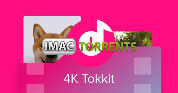 4K Tokkit Pro 1.4.1 Free Download